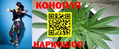 крисы Краснокаменск
