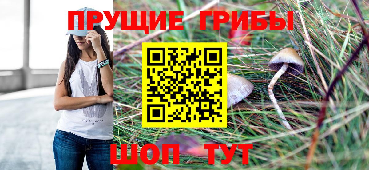 Псилоцибиновые грибы GOLDEN TEACHER Губаха